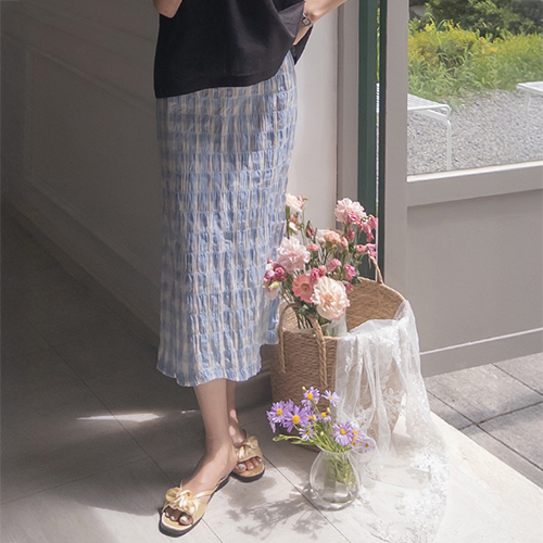 Anzling Lovely Check Wrinkle-Free H-Line Skirt [size: F (55-66)]