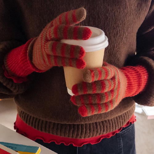 Snow Garden Color Combination Stripe Touch Gloves