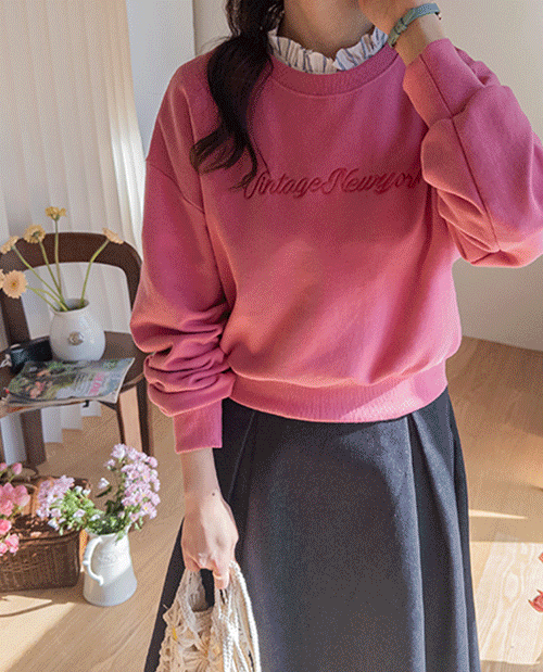 Ludian Color Lettering Embroidery Man to Man Tee [size: F (55-66)]