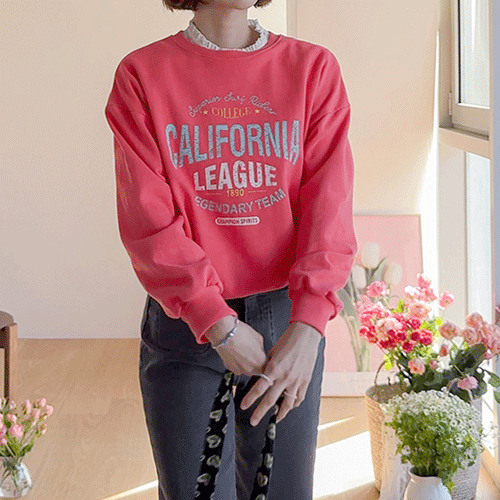 Jayon loose fit lovely lettering man to man tee [size: F(55~66)]