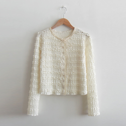 [Special Sale 30% ★ Limited Quantity] Denny House Lovely Lace Sophistication Blouse [Size: F (55~66)]